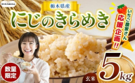 訳あり【令和7年度産】【栃木県共通返礼品】【数量限定】 栃木県産にじのきらめき 5kg | にじのきらめき 数量限定  玄米 米 ごはん  ふるさと納税 那珂川町 栃木県