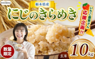 訳あり【令和7年度産】【栃木県共通返礼品】【数量限定】 栃木県産にじのきらめき 10kg | にじのきらめき 数量限定  玄米 米 ごはん  ふるさと納税 那珂川町 栃木県