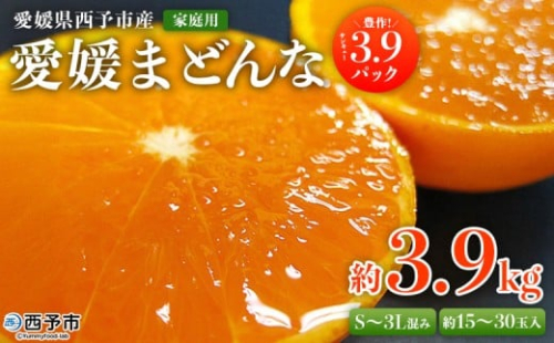 紅まどんなと同品種！＜愛媛県西予市産 愛媛まどんな 家庭用 豊作 3.9パック 約3.9kg＞ 訳あり 柑橘 果物 フルーツ 愛媛果試第28号 マドンナ 食べて応援 宇都宮物産【常温】『2025年12月上旬～2026年1月上旬迄に順次出荷予定』