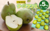 【令和8年産先行予約】ラ・フランス（洋梨） 4Lサイズ 約5kg (14玉)　伊藤果樹園
