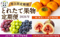 【年3回定期便】宝玉農園 とれたて果物定期便 2026年 (7月下旬予定：ぶどう３種・9月下旬予定：イチジク(とよみつひめ)・11月下旬予定：柿(秋王)) 果物 果実 フルーツ スイーツ デザート 食品 定期便 福岡県 うきは市 常温 冷蔵