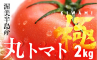 渥美半島産 丸トマト 『極』2kg　|トマト とまと 高糖度 サラダ サンドイッチ 野菜 やさい 大玉 高糖度 贈答 プレゼント 贈り物 甘い おいしい 冬 春 極 JA 農協 JA愛知みなみ