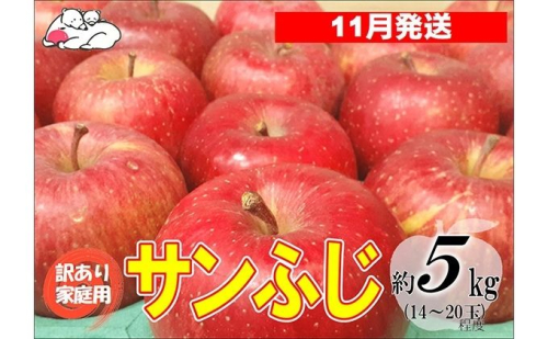 【11月発送】白熊 訳あり家庭用 サンふじ 約5kg 糖度13度 【青森りんご 果物 フルーツ 食後 デザート シャキシャキ ジューシー りんごの王様 】 2430369 - 青森県鶴田町