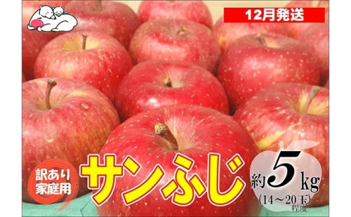 【12月発送】白熊 訳あり家庭用 サンふじ 約5kg 糖度13度【青森りんご 果物 フルーツ 食後 デザート シャキシャキ ジューシー りんごの王様 】 2430370 - 青森県鶴田町