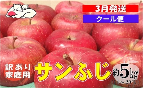 【クール便】3月発送 白熊 訳あり家庭用 サンふじ 約5kg 糖度13度【青森りんご 果物 フルーツ 食後 デザート シャキシャキ ジューシー りんごの王様 】 2430373 - 青森県鶴田町