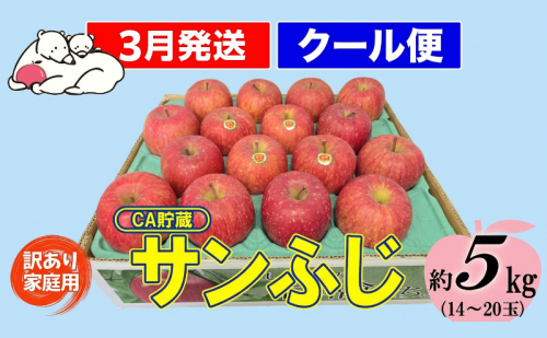 【クール便】3月発送 白熊 訳あり家庭用 サンふじ 約5kg 糖度13度【青森りんご 果物 フルーツ 食後 デザート シャキシャキ ジューシー りんごの王様 】 2430373 - 青森県鶴田町