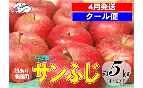 【クール便】4月発送 白熊 訳あり家庭用 サンふじ 約5kg 糖度13度【青森りんご・ 果物 フルーツ 食後 デザート シャキシャキ ジューシー りんごの王様 】 2430374 - 青森県鶴田町