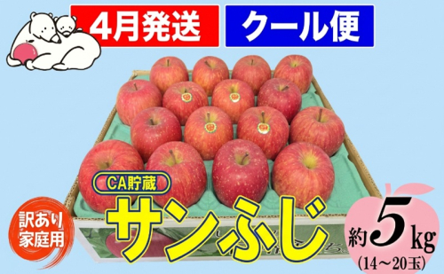 【クール便】4月発送 白熊 訳あり家庭用 サンふじ 約5kg 糖度13度【青森りんご・ 果物 フルーツ 食後 デザート シャキシャキ ジューシー りんごの王様 】 2430374 - 青森県鶴田町