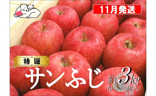 【11月発送】白熊 特選 サンふじ 絆 約3kg 糖度13度【青森りんご 果物 フルーツ 食後 デザート シャキシャキ ジューシー りんごの王様 】 2430375 - 青森県鶴田町