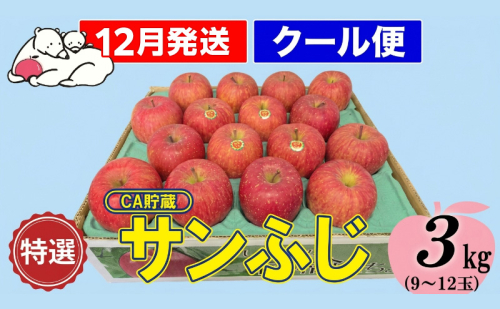 【12月発送】白熊 特選 サンふじ 絆 約3kg 糖度13度【青森りんご 果物 フルーツ 食後 デザート シャキシャキ ジューシー りんごの王様 】 2430376 - 青森県鶴田町