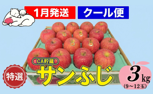 【1月発送】白熊 特選 サンふじ 絆 約3kg 糖度13度【青森りんご 果物 フルーツ 食後 デザート シャキシャキ ジューシー りんごの王様 】 2430377 - 青森県鶴田町