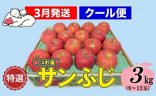 【クール便】3月発送 白熊 特選 サンふじ 絆 約3kg 糖度13度【青森りんご 果物 フルーツ 食後 デザート シャキシャキ ジューシー りんごの王様 】 2430379 - 青森県鶴田町