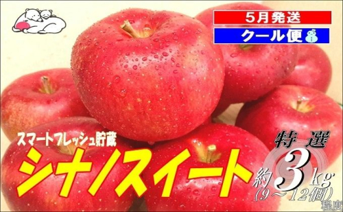 【5月発送クール便】白熊 贈答用シナノスイート約3kg スマートフレッシュ 糖度13度【青森りんご 果物 フルーツ 果物類 デザート 食後 おやつ 青森のりんご 】 2430381 - 青森県鶴田町