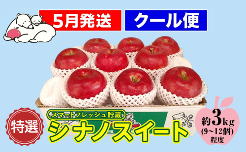 鶴田町　26年3月おすすめ返礼品！初夏までおいしい理由がある！【5月発送クール便】白熊 贈答用シナノスイート約3kg スマートフレッシュ 糖度13度【青森りんご 果物 フルーツ 果物類 デザート 食後 おやつ 】 2430381 - 青森県鶴田町