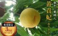 福島の桃 黄貴妃 約3kg（11～13玉） 伊達市産 桃 先行予約 フルーツ 果物 もも モモ momo F20C-158