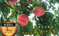 福島の桃 あかつき 約3kg（11～13玉） 伊達市産 桃 先行予約 透過式光センサー選別 フルーツ 果物 もも モモ momo F20C-159
