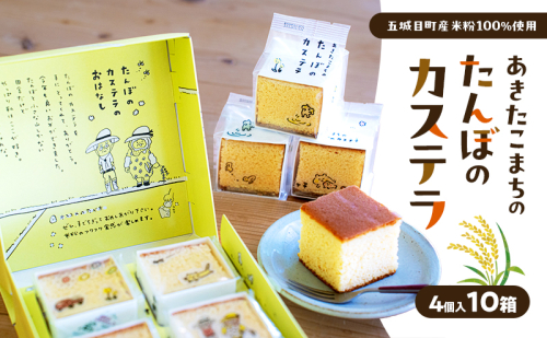 あきたこまちのたんぼのカステラ (4個入10箱) カステラ かすてら 秋田県 秋田 あきたこまち 田んぼ お菓子 スイーツ 2430523 - 秋田県五城目町