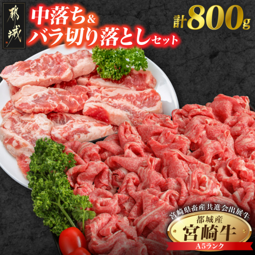 【共進会牛】(A5)宮崎牛中落ち&バラ切り落としセット_17-2504 2430530 - 宮崎県都城市