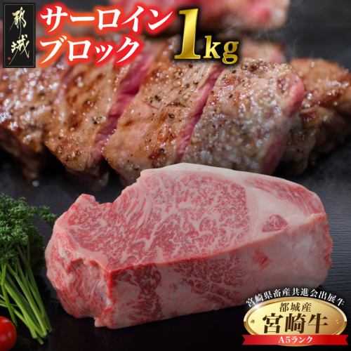 【共進会牛】(A5)宮崎牛サーロインブロック1kg_AI-2504 2430538 - 宮崎県都城市
