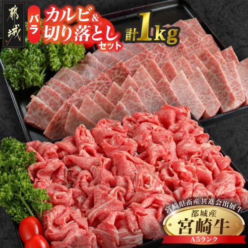 【共進会牛】(A5)宮崎牛バラカルビ&バラ切り落としセット_26-2501 2430541 - 宮崎県都城市