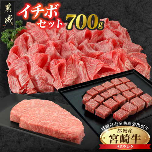 【共進会牛】(A5)宮崎牛イチボセット_18-2504 2430542 - 宮崎県都城市