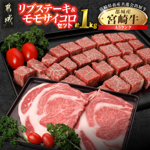 【共進会牛】(A5)宮崎牛リブ&モモサイコロステーキセット_29-2501 2430544 - 宮崎県都城市