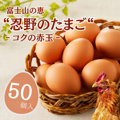 富士山の恵“忍野のたまご“‐コクの赤玉‐50個入 2430600 - 山梨県都留市