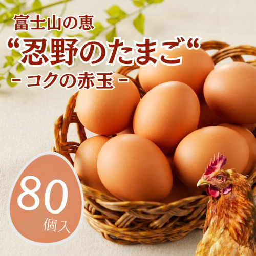 富士山の恵“忍野のたまご“‐コクの赤玉‐80個入 2430601 - 山梨県都留市