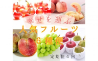 2026年度発送[定期便4回] 幸せを運ぶ人気フルーツ6種便
