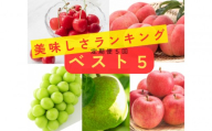 2026年度発送 [定期便5回] 美味しさランキング☆ベスト5