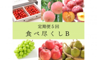 2026年度発送[定期便5回] 食べ尽くしB