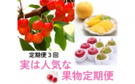 2026年度発送 [定期便3回] 実は人気な果物定期便