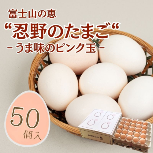 富士山の恵“忍野のたまご“‐うま味のピンク玉‐50個入 2430898 - 山梨県都留市