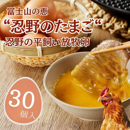 忍野の平飼い放牧卵　30個 2430900 - 山梨県都留市