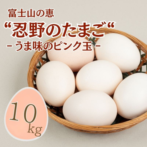 富士山の恵“忍野のたまご“‐うま味のピンク玉‐10kg 2430979 - 山梨県都留市
