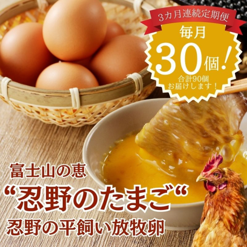 【定期便】忍野の平飼い放牧卵　3か月連続定期便（毎月30個×3か月　合計90個） 2430983 - 山梨県都留市