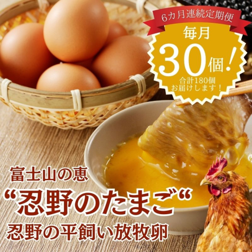 【定期便】忍野の平飼い放牧卵　6か月連続定期便（毎月30個×6か月　合計180個） 2430990 - 山梨県都留市