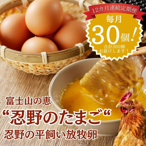 【定期便】忍野の平飼い放牧卵　12か月連続定期便（毎月30個×12か月　合計360個） 2431002 - 山梨県都留市