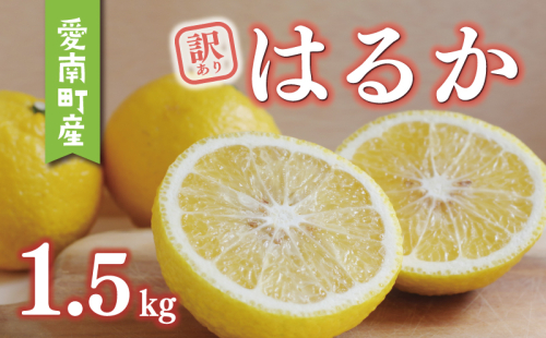 数量限定 先行予約 訳あり はるか 1.5kg 5000円 お試し 少量 みかん mikan 蜜柑 ミカン 国産 産地直送 農家直送 期間限定 特産品 ゼリー ジュース アイス 等に わけあり 人気 限定 フルーツ 果物 柑橘 甘い おいしい ジューシー お取り寄せ ギフト プレゼント サイズ ミックス あいなんマザーズ 愛南町 愛媛県 2431135 - 愛媛県愛南町