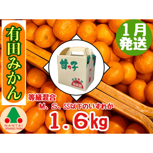1月発送 等級混合 有田みかん M ～ SS以下 サイズ 約1.6kg 南泰園 和歌山 有田 みかん 2431279 - 和歌山県有田川町