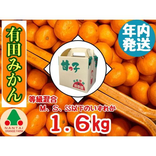 年内発送 等級混合 有田みかん M ～ SS以下 サイズ 約1.6kg 南泰園 和歌山 有田 みかん 2431283 - 和歌山県有田川町