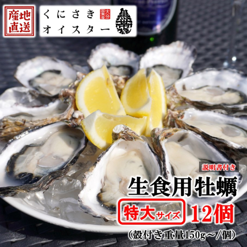 牡蠣 生食用 殻付き くにさきオイスター 特大サイズ12個（殻付き重量150g～/個）　カキ oyster 生牡蠣_2361R-1 2431573 - 大分県国東市