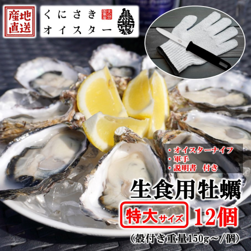 牡蠣 生食用 殻付き くにさきオイスター 特大サイズ12個（殻付き重量150g～/個）　【オイスターナイフ付き】 カキ oyster 生牡蠣_2361R-2 2431577 - 大分県国東市