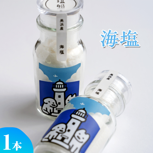 海塩 1本 美浜の塩 ｜ 天然塩 塩 食塩 卓上塩 おためし ミネラル しお 天然 調味料 ソルト 海水塩 料理 味付 国産 おにぎり　愛知県 美浜町 食と健康の館 ※北海道・沖縄・離島への配送不可 2431648 - 愛知県美浜町