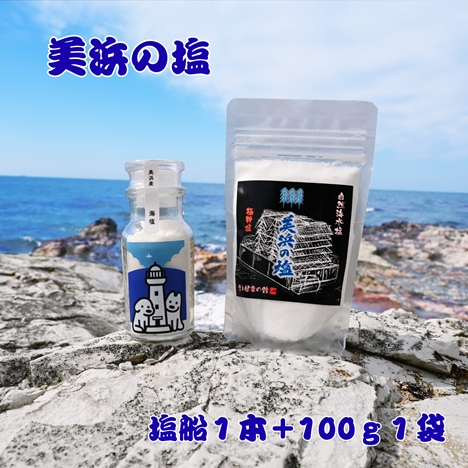 海塩 1本 美浜の塩+美浜の塩 100g×1袋 ｜ 天然塩 塩 食塩 卓上塩 おためし ミネラル しお 天然 調味料 ソルト 海水塩 料理 味付 国産 おにぎり　愛知県 美浜町 食と健康の館 ※北海道・沖縄・離島への配送不可 2431648 - 愛知県美浜町
