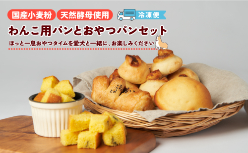 【おやつに】わんこ用パン(犬用かぼちゃパン1袋9カット×2パック)＋おやつパンセット(きなこクリーム1袋・ぼうしちゃんパン1個・あんクロワッサン1個)　おやつ パン 菓子パン 天然酵母 国産小麦 犬用 かぼちゃ パン わんこ用 セット 滋賀県 湖南市 2431722 - 滋賀県湖南市