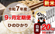 新米 令和7年産【9ヵ月定期便】白米 ひのひかり 計9回お届け 20kg 5kg×4袋《お申込み翌月から出荷》 熊本県産 精米 ひの 米 こめ ヒノヒカリ コメ お米 津奈木