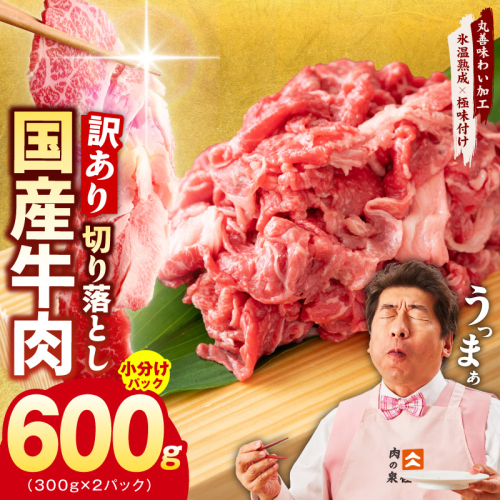 国産牛 切り落とし 600g 小分け 300g×2P【氷温熟成×極味付け 国産 牛肉 訳あり サイズ不揃い カレー 牛丼 野菜炒め 肉じゃが 家計応援】 mrz0360 2432012 - 大阪府泉佐野市