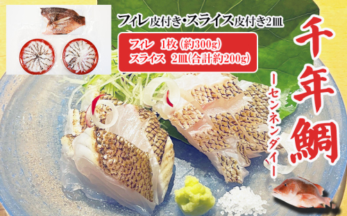 C3-7708　康秀の千年鯛 皮付きフィレ 1枚・皮付きスライス 2皿 2432192 - 鹿児島県垂水市