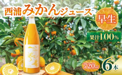 オレンジ ジュース ストレート 果汁 100％ 早生 みかん 720ml×6本 西浦 蜜柑 濃厚 飲み物 ミカン 人気 贈答用 静岡 沼津 2432291 - 静岡県沼津市